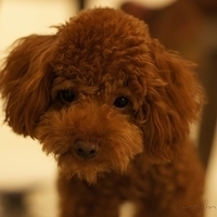 Kirby.2011.08.15-008.JPG
