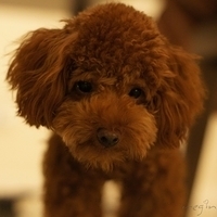Kirby.2011.08.15-009.JPG