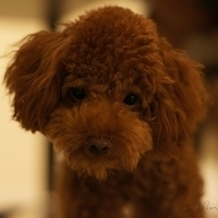 Kirby.2011.08.15-010.JPG