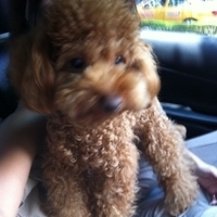 Kirby.2011.08.20-001.JPG