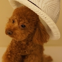 Kirby.2011.08.20-006.JPG