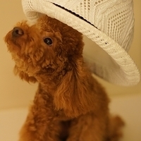 Kirby.2011.08.20-007.JPG