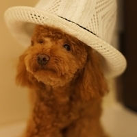 Kirby.2011.08.20-008.JPG