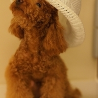 Kirby.2011.08.20-009.JPG