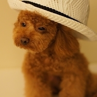 Kirby.2011.08.20-010.JPG