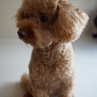 Kirby.2012.08.27-001.JPG