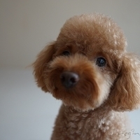 Kirby.2012.08.27-002.JPG