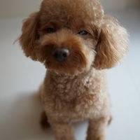 Kirby.2012.08.27-003.JPG