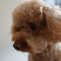 Kirby.2012.08.27-004.JPG