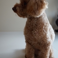 Kirby.2012.08.27-005.JPG