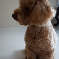 Kirby.2012.08.27-006.JPG