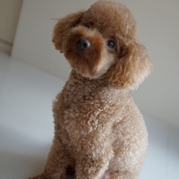 Kirby.2012.08.27-007.JPG