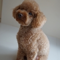 Kirby.2012.08.27-008.JPG