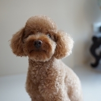 Kirby.2012.08.27-009.JPG