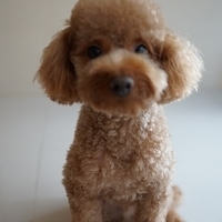 Kirby.2012.08.27-010.JPG