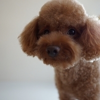 Kirby.2012.08.27-011.JPG