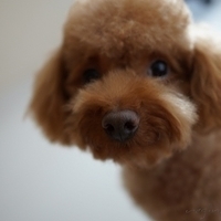 Kirby.2012.08.27-012.JPG