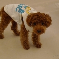 Kirby.2010.12.11-001.JPG