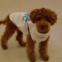 Kirby.2010.12.11-002.JPG