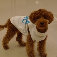 Kirby.2010.12.11-003.JPG