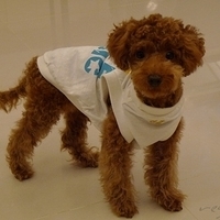 Kirby.2010.12.11-004.JPG