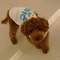 Kirby.2010.12.11-006.JPG