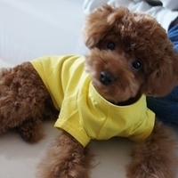 Kirby.2010.12.28-001.JPG