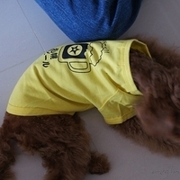 Kirby.2010.12.28-002.JPG