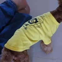 Kirby.2010.12.28-003.JPG