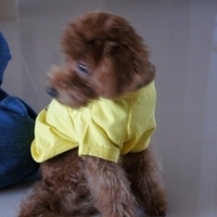 Kirby.2010.12.28-005.JPG