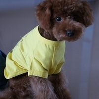 Kirby.2010.12.28-006.JPG