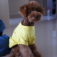 Kirby.2010.12.28-008.JPG