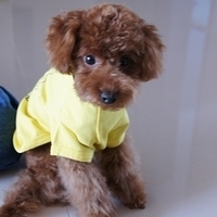 Kirby.2010.12.28-009.JPG