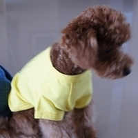 Kirby.2010.12.28-010.JPG