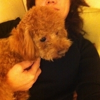 Kirby.2011.12.04-001.JPG