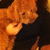 Kirby.2011.12.04-002.JPG