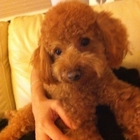 Kirby.2011.12.04-004.JPG
