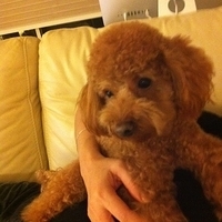 Kirby.2011.12.04-005.JPG