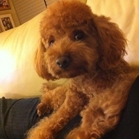 Kirby.2011.12.04-006.JPG