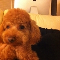 Kirby.2011.12.04-009.JPG