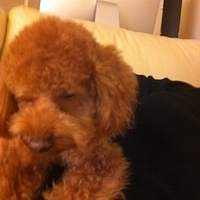 Kirby.2011.12.04-011.JPG