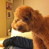 Kirby.2011.12.04-014.JPG