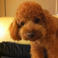 Kirby.2011.12.04-016.JPG