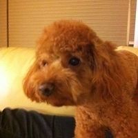 Kirby.2011.12.04-017.JPG