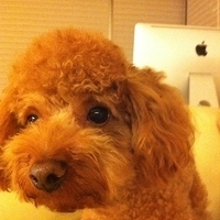 Kirby.2011.12.04-018.JPG