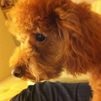 Kirby.2011.12.04-019.JPG
