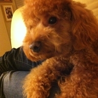 Kirby.2011.12.04-022.JPG