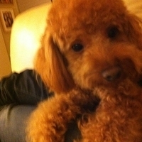 Kirby.2011.12.04-023.JPG