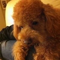 Kirby.2011.12.04-026.JPG