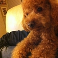 Kirby.2011.12.04-027.JPG